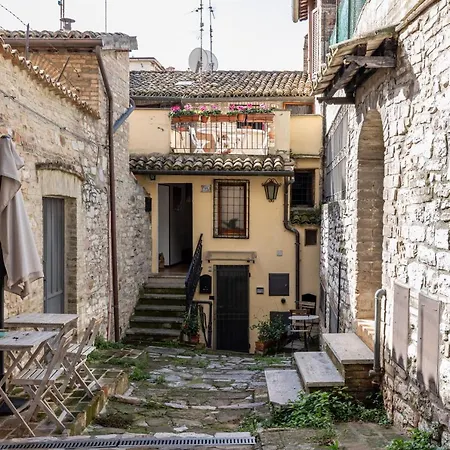 Guesthost - Le Finestre Sul Corso Roomy With Terrace Lejlighed