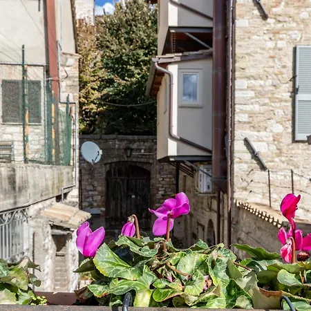 Guesthost - Le Finestre Sul Corso Roomy With Terrace Lejlighed